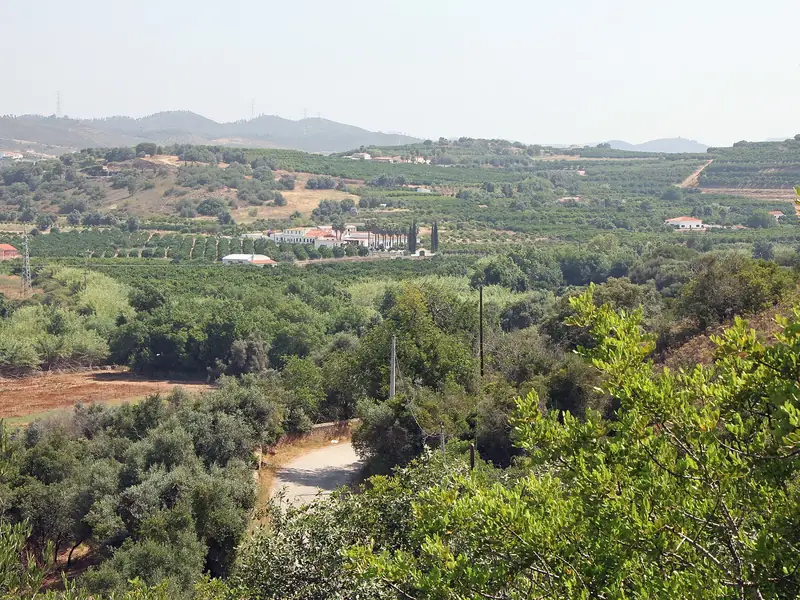 Campos, pomares e colinas perto de Silves, com a serra ao fundo